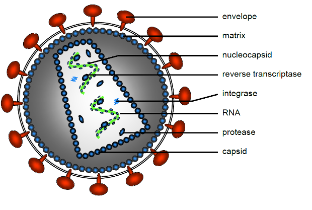 retrovirus_thesis_pike